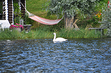 Zwerg